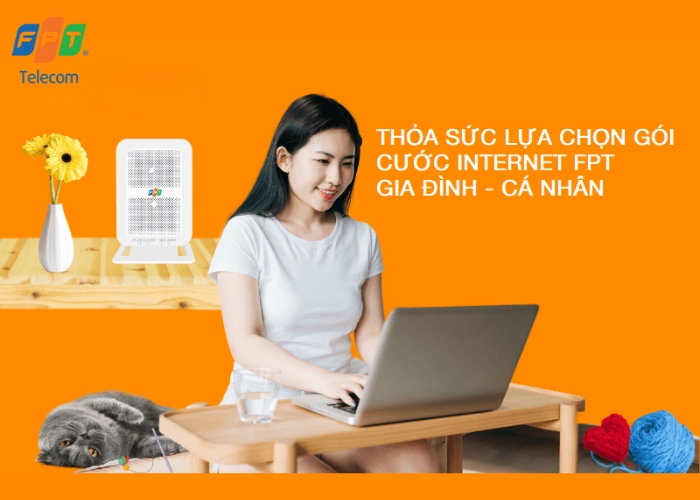 lắp mạng fpt hà nội (7)