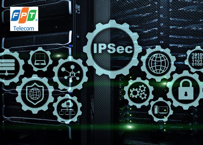 IP là gì IP là gì