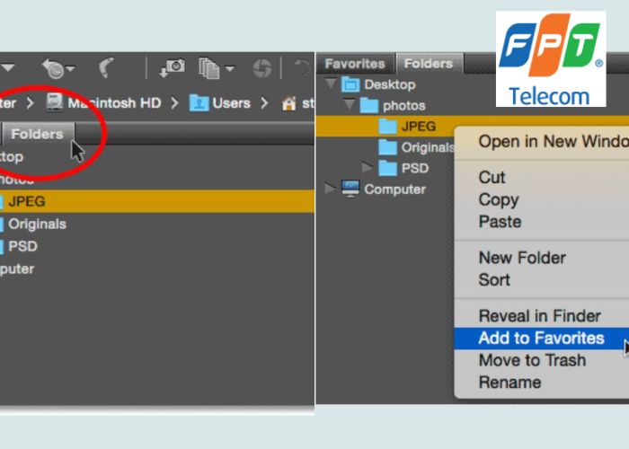 Adobe Bridge (3)