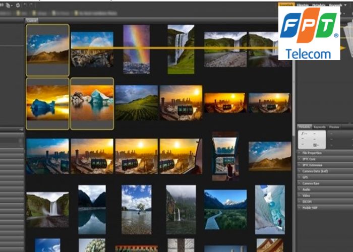 Adobe Bridge (4)