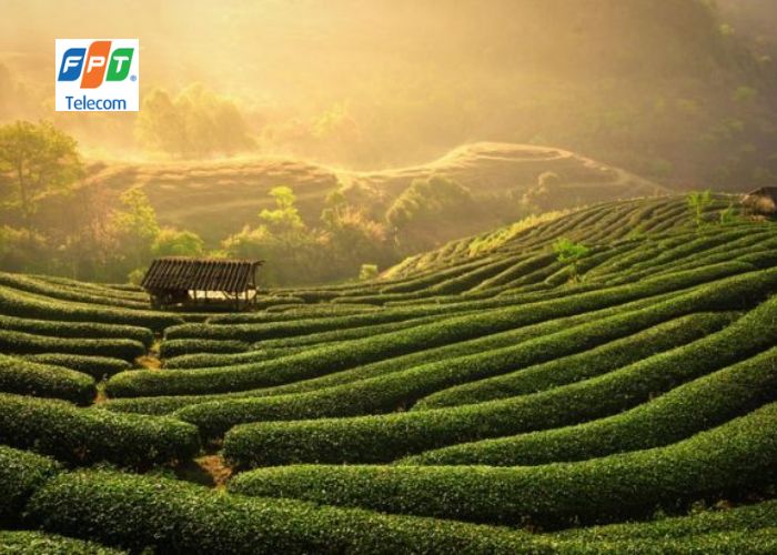 Tổng đài mạng FPT tại Thái Nguyên (4) Tổng đài mạng FPT tại Thái Nguyên (4)