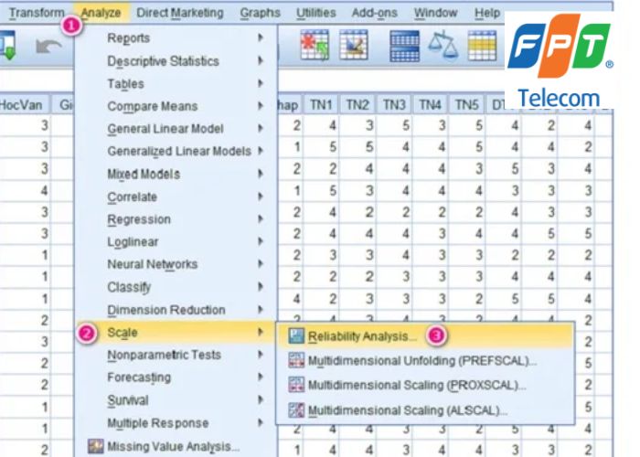 SPSS 25 (1)