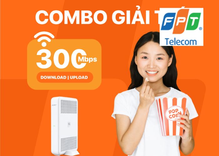 mạng fpt tp hồ chí minh (2)